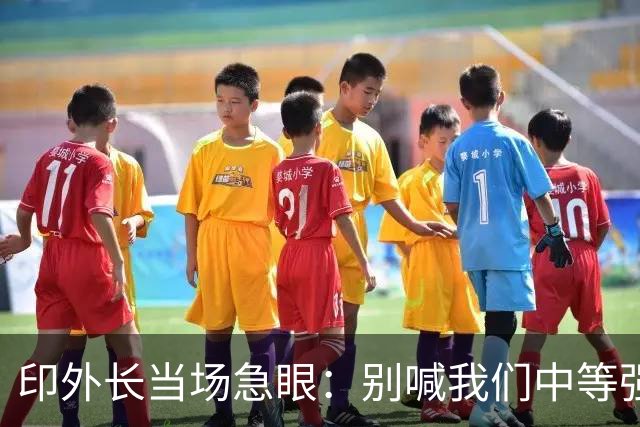 印外长当场急眼：别喊我们中等强国，印度是 “立足中间的大国”