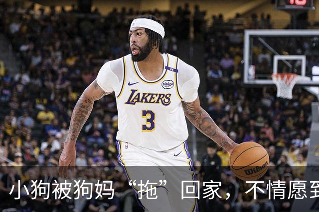 小狗被狗妈“拖”回家，不情愿到连爪子都在控诉：我还要玩！
